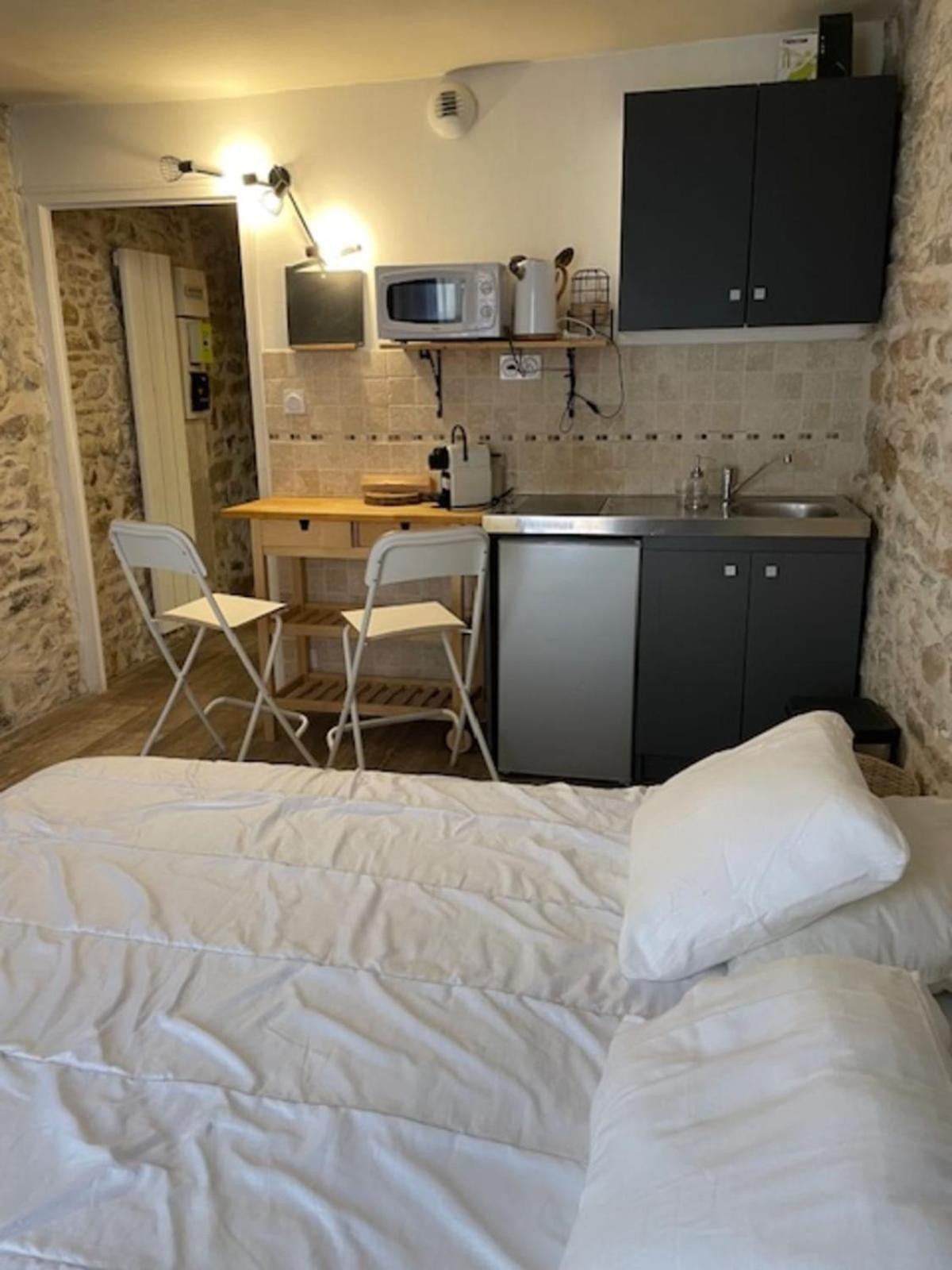 Studio With Exposed Stone Vieux Lyon Extérieur photo