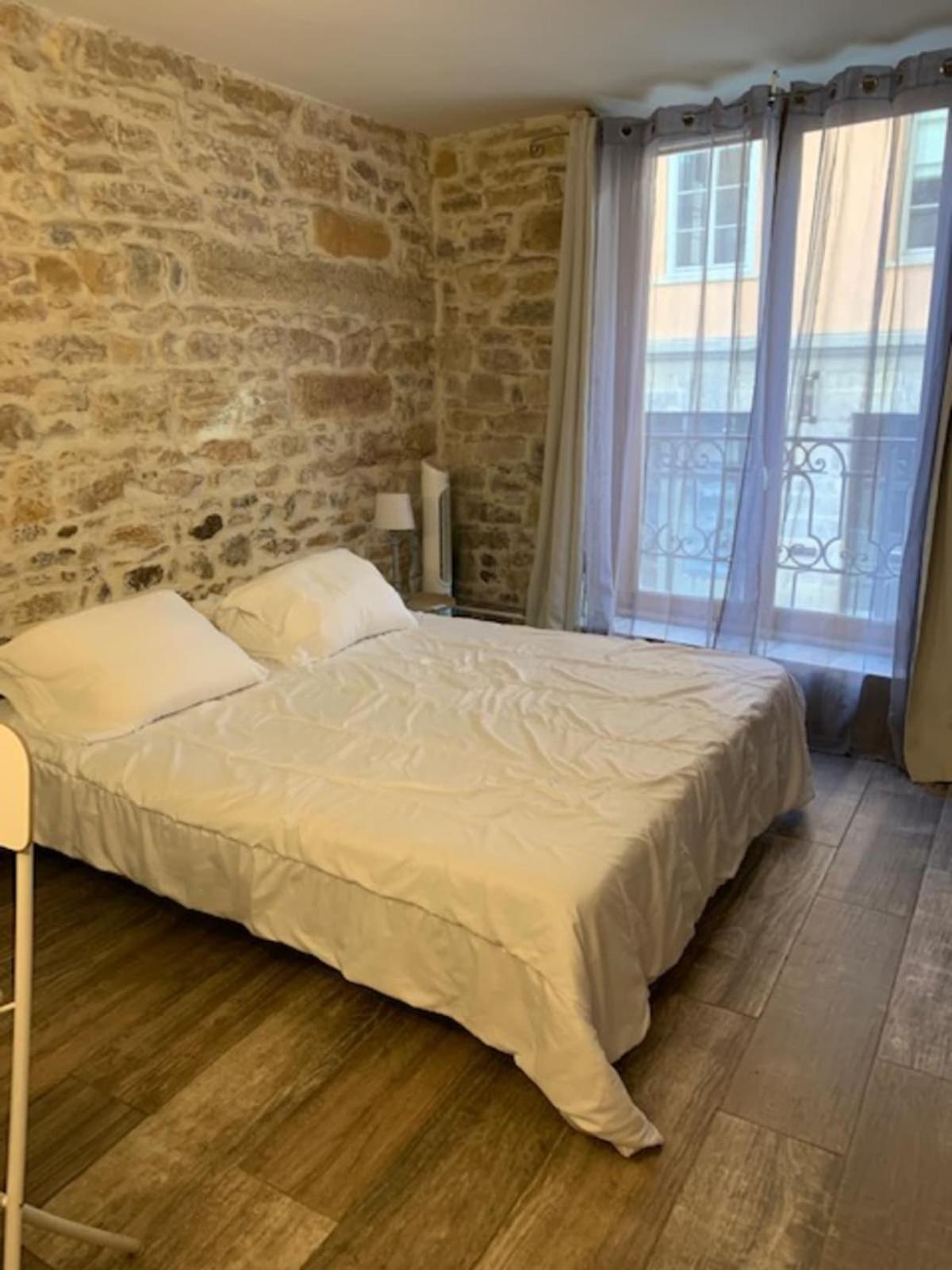 Studio With Exposed Stone Vieux Lyon Extérieur photo
